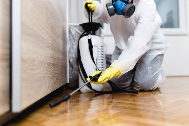 Best Best Pest Control Companies  in Zilwaukee, MI