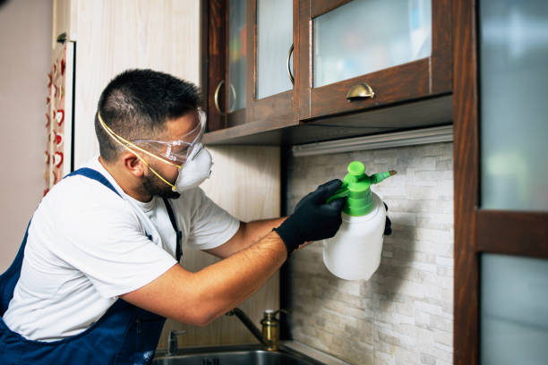 Best Rat Extermination Near Me  in Zilwaukee, MI