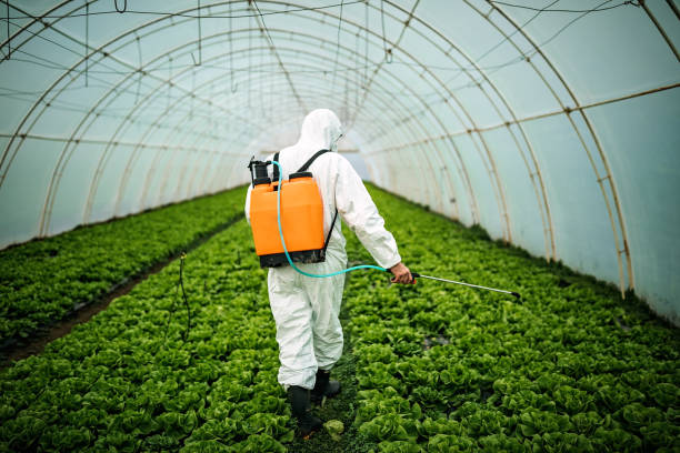 Best Affordable Pest Control Services  in Zilwaukee, MI