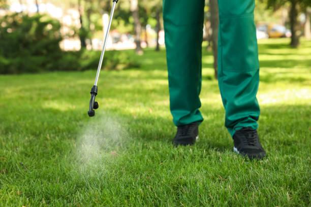 Best Best Pest Control Companies  in Zilwaukee, MI