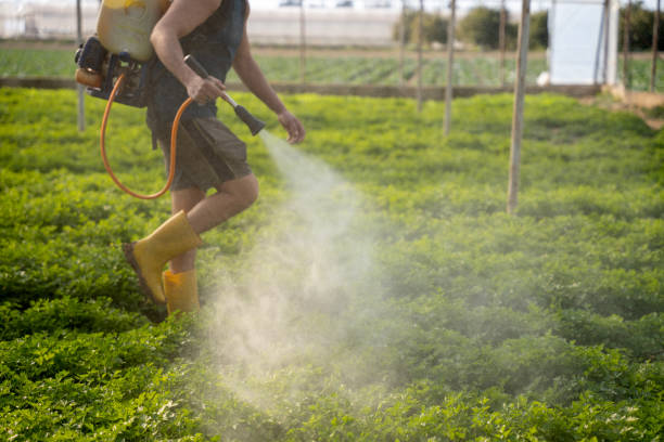 Best Wildlife Control Services  in Zilwaukee, MI