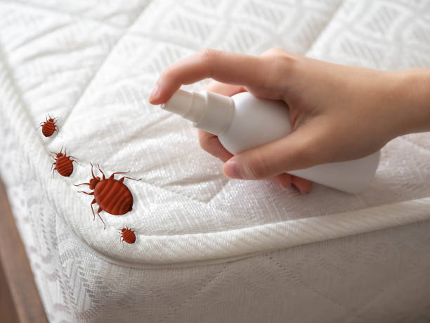 Professional Pest Control in Zilwaukee, MI