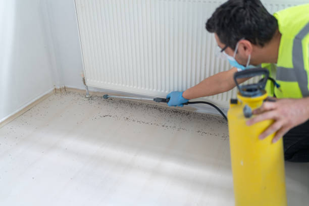 Best Bed Bug Extermination  in Zilwaukee, MI