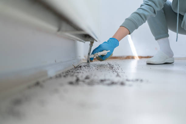 Best Cockroach Control Services  in Zilwaukee, MI