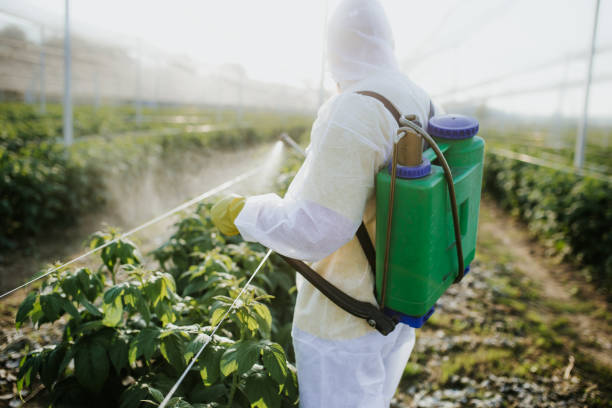 Best Mosquito Control Services  in Zilwaukee, MI